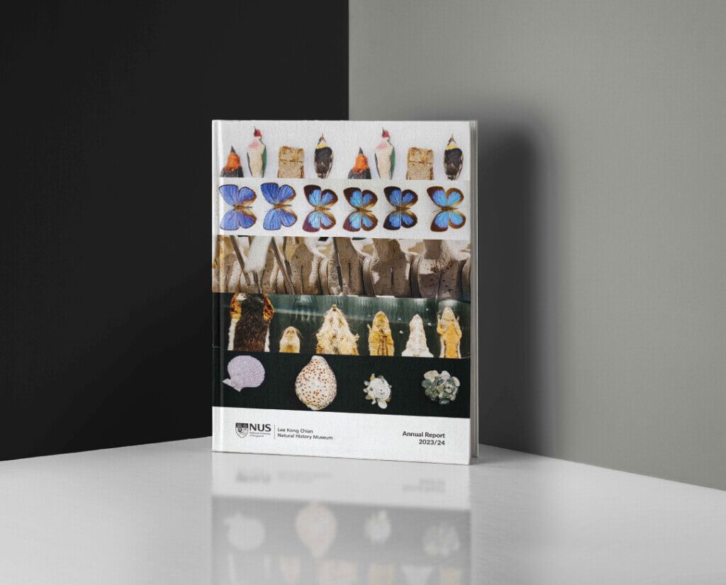NUS LKCNHM Annual Report Design
