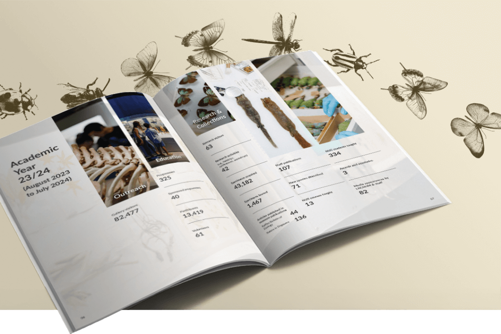 NUS LKCNHM Annual Report Design