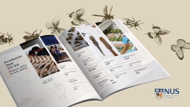 NUS LKCNHM Annual Report Design